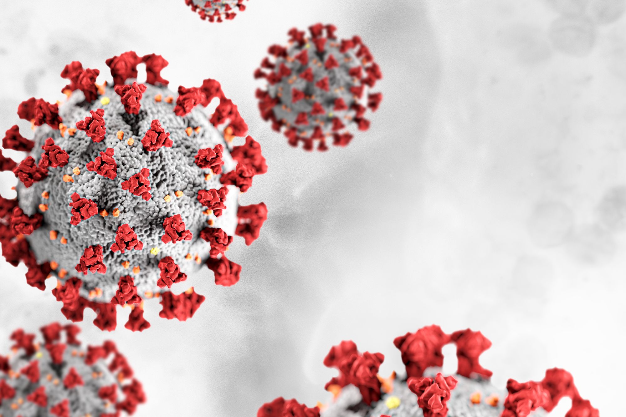 coronavirus affecting business