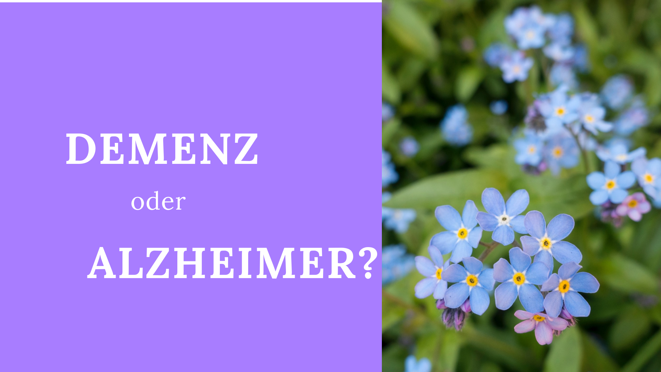Unterschied Alzheimer Und Demenz Einfach Erklärt Was ist der Unterschied zwischen Demenz und Alzheimer?