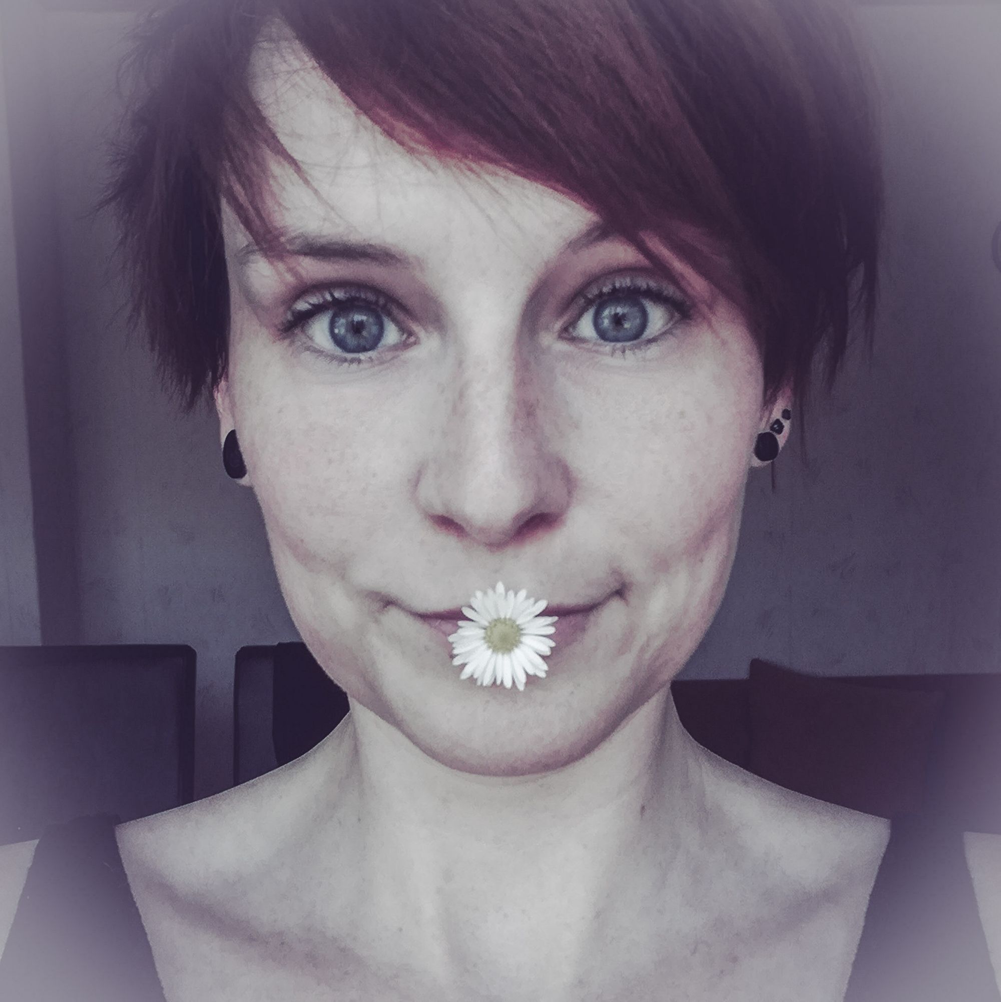 Zwiebelninja