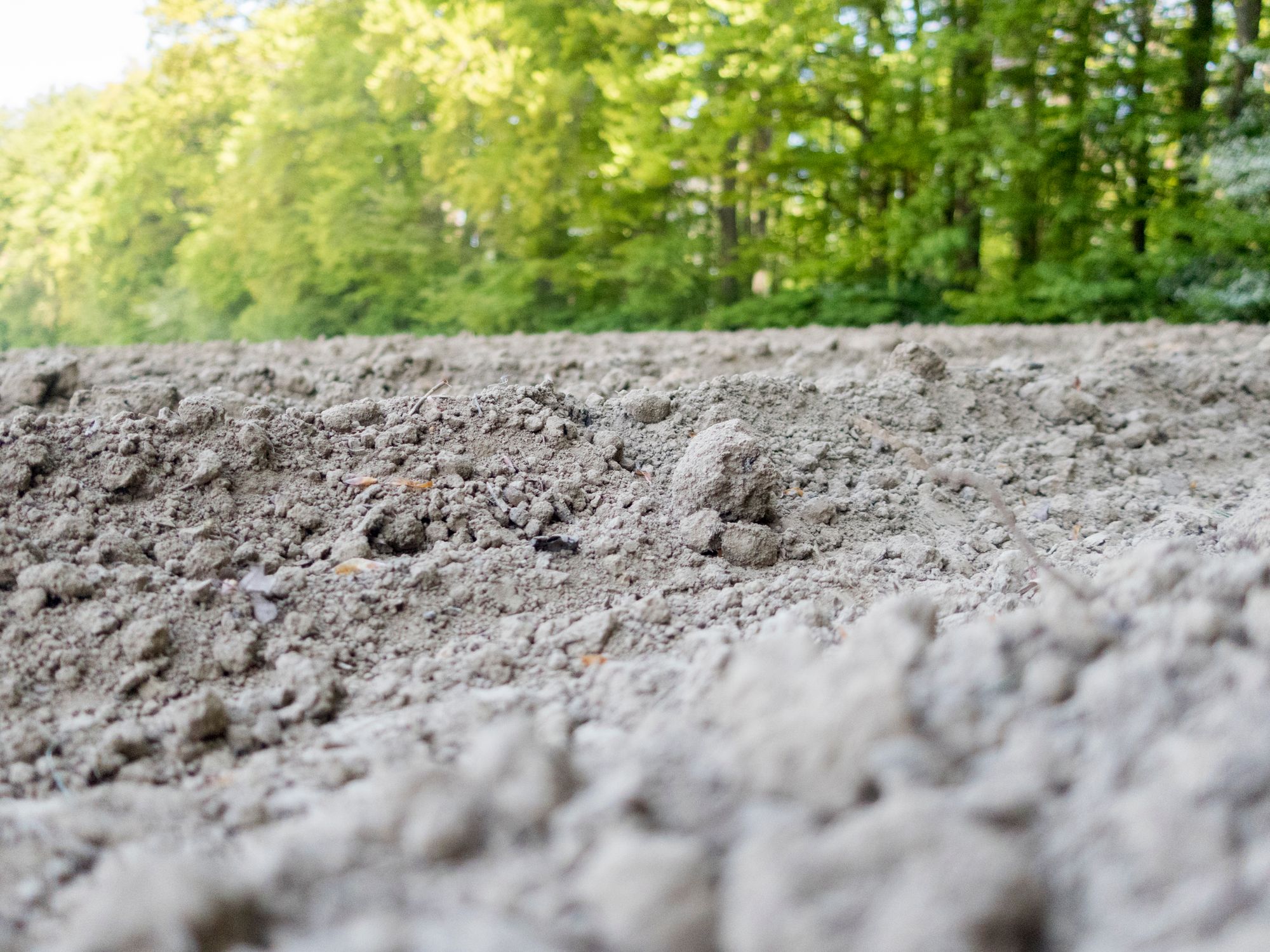 Rettet die Landwirtschaft: Macht sie nachhaltig.