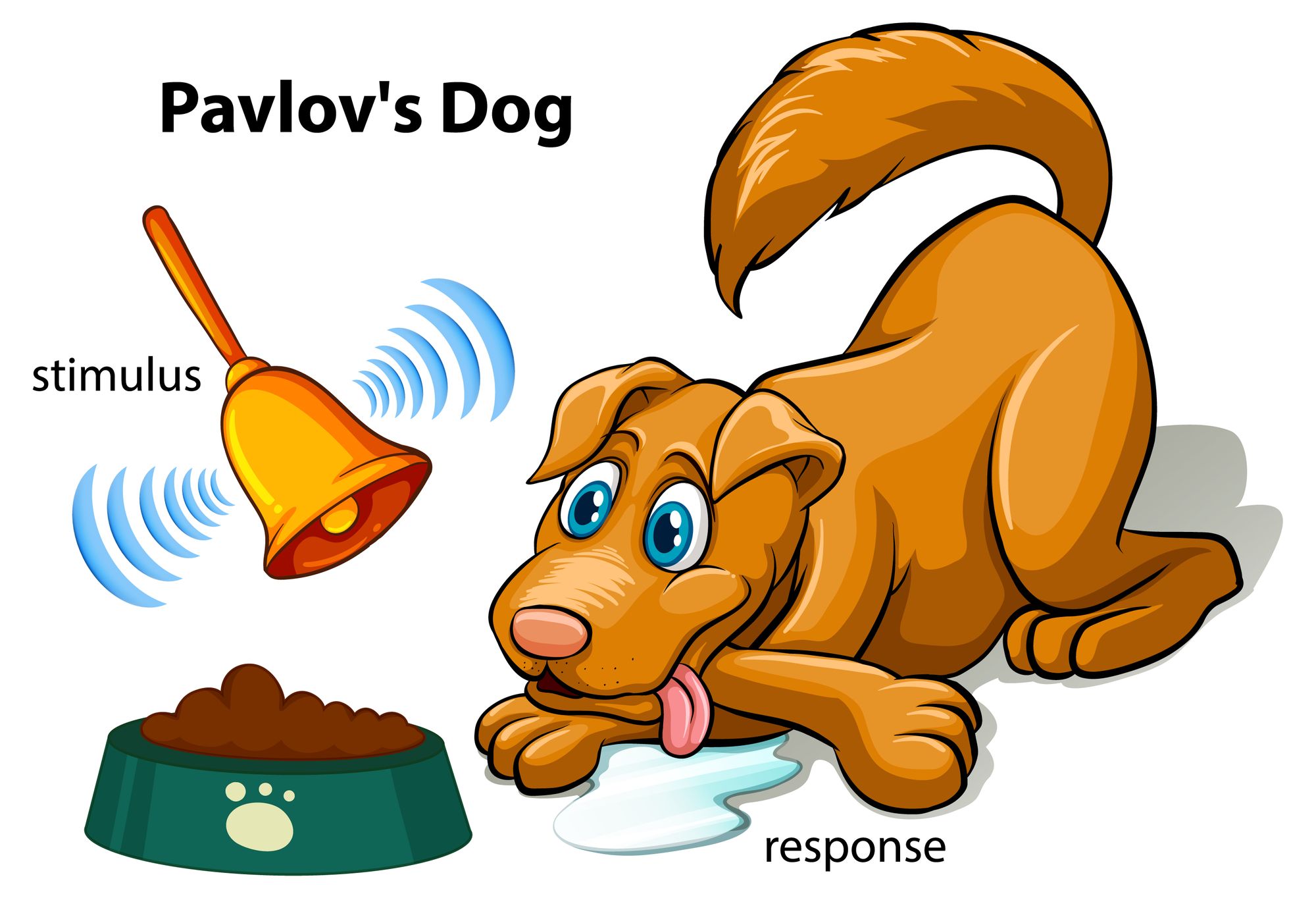 https://www.freepik.com/free-vector/pavlov-s-dog-experiment-vector_39265134.htm